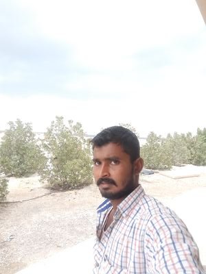 Ramesh88668114's profile picture. தமிழ்