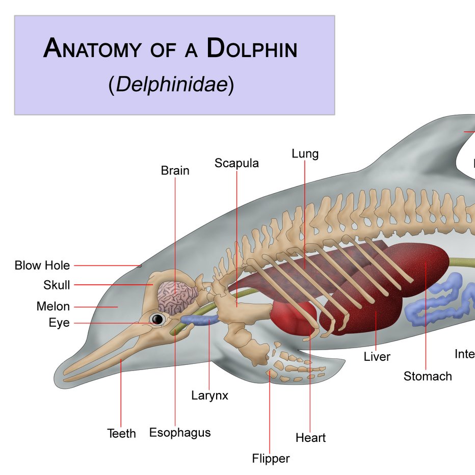 Rabika54358569's profile picture. Hey guys! Im Rabika                         xoxo ;) Rabika