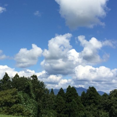 sanponight's profile picture. 