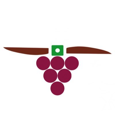 Les drones au service de la vigne - Prestations survols techniques et à usage de communication - Ampelis.drone@gmail.com