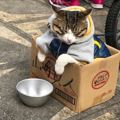 いろんなことをしていきたい。