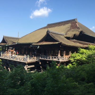 スポーツ 空手 福井