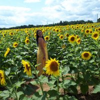 Madame Callaghan (@madamecallaghan) 's Twitter Profile