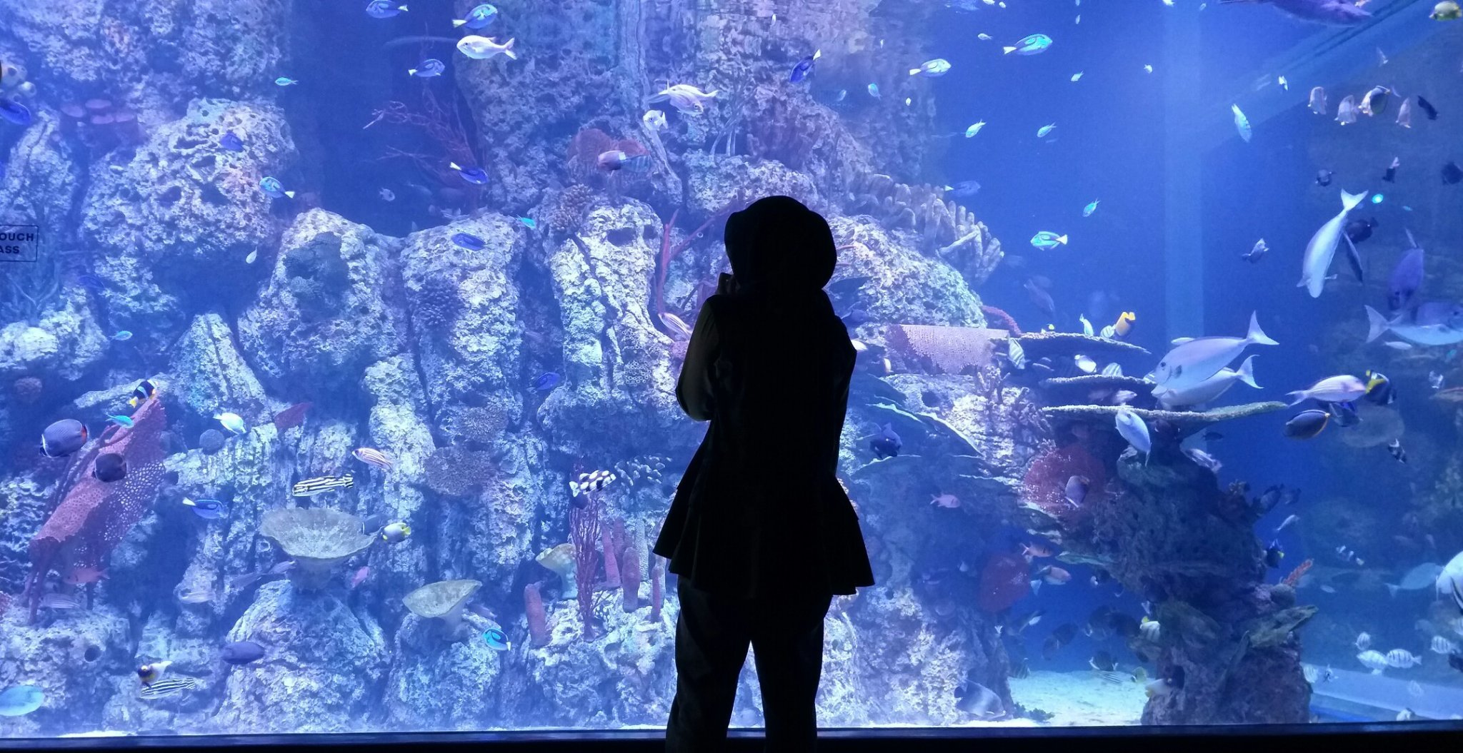 astariiiw's profile picture. 