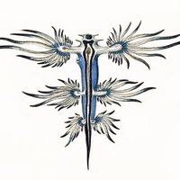 PhilaJack (@gatlanticus) 's Twitter Profile Photo PhilaJack (@gatlanticus) 's Twitter Profile Photo