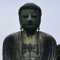 Nourhan Safey (@nourhansafey) 's Twitter Profile Photo