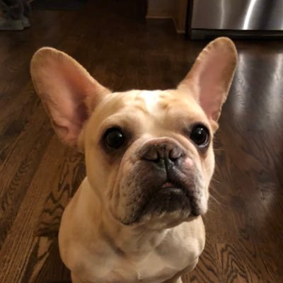 know_happiness's profile picture. 