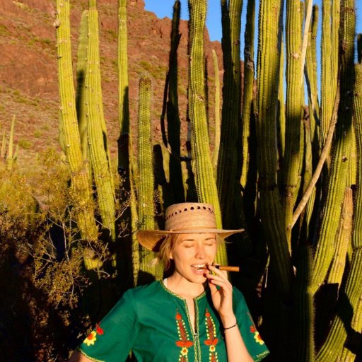 +Petrified Forest, Joshua Tree & Great Sand Dunes Ntl Park Artist in Residence
+Biocentric community organizer