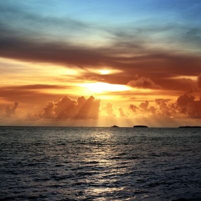 SusanCs42's profile picture. 