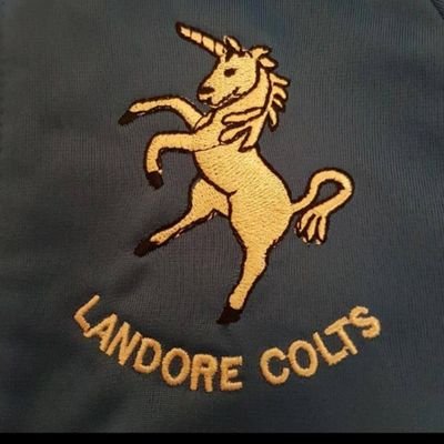 Landore Colts U6s and U7s football teams