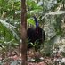 Beaulieu Biology (@beaulieubio) Twitter profile photo Beaulieu Biology (@beaulieubio) Twitter profile photo