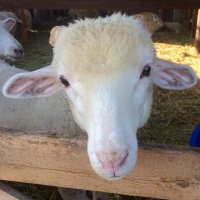 Midpoint Meadows (@midpointmeadows) 's Twitter Profile Photo Midpoint Meadows (@midpointmeadows) 's Twitter Profile Photo