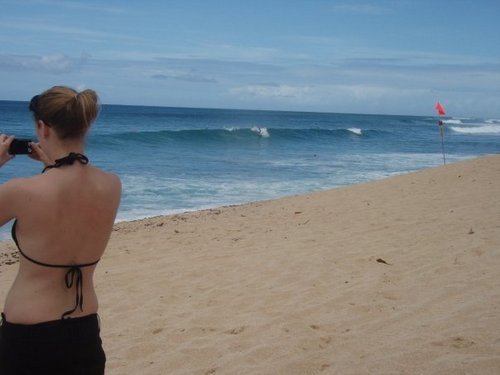 lizsquiz's profile picture. Get involved.