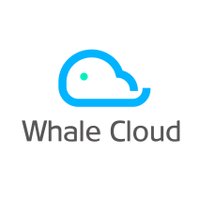 Whale Cloud (@whalecloud2) 's Twitter Profile