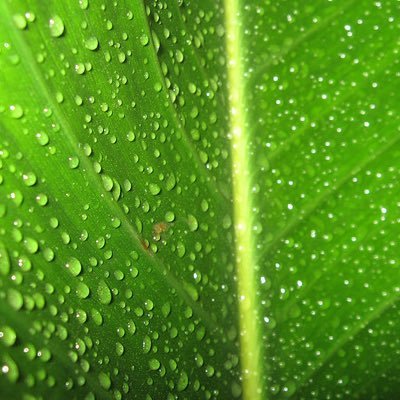 naoyarider8123's profile picture. MARVEL、DCなどアメコミや特撮が好きです！ ホットトイズを集めてます！