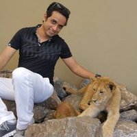 prashant Sisodia (@sisodiaprix) 's Twitter Profile