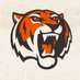 МХК «Амурские Тигры» (@hcamurtigers) Twitter profile photo