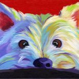 babe_besty's profile picture. MY HONEYBUN “PREMLATA - PLEASED AS PUNCH “.