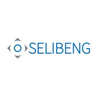 Selibeng.com(@SelibengJobs) 's Twitter Profileg