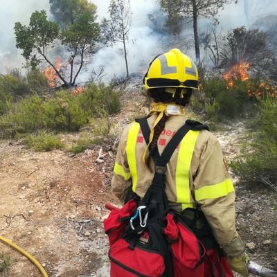 Geògrafa dels peus de les Gavarres #cassàdelaselva #girona #iiff #incendis🌳🔥🚒⛏️📚💻😊