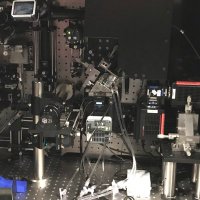 IMBmicroscopy (@imbmicroscopy) 's Twitter Profile Photo