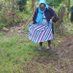 Maimuna Mwinyi (@maimunamwinyi) Twitter profile photo Maimuna Mwinyi (@maimunamwinyi) Twitter profile photo