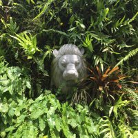 Mark Tweed (@markatweed) 's Twitter Profile