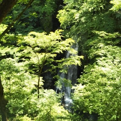 週末スケーター50↓主は群馬、オフは上尾、風越、時々浜銀。もっと上手くなりたいけど体力不足になってきた歴だけは長いヘタの横好き兼スケオタ。大人/趣味スケーターさんとたくさん知り合いたい。まんが、ルービックキューブ