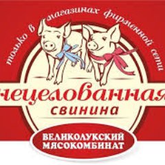 EgorRusanov's profile picture. Bloody  Bustard