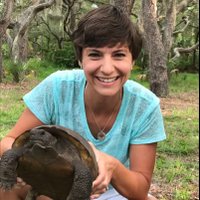 Mrs Geist (@mrsgeist) 's Twitter Profile Photo Mrs Geist (@mrsgeist) 's Twitter Profile Photo