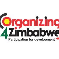 #Participate4Dev (@organize4zim) 's Twitter Profile