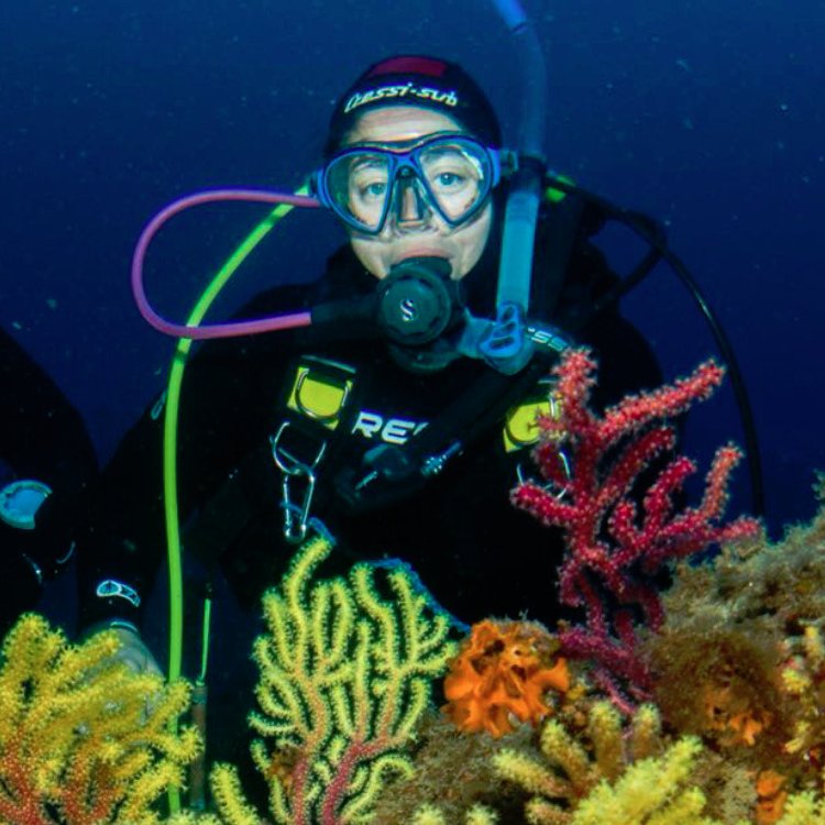 Marine biologist working at @ICMCSIC. Member of https://t.co/xU1ALmcuA5 research group for the conservation of marine benthic communities in the Mediterranean