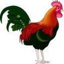 Dale Wing - @ChgoRooster - Twitter