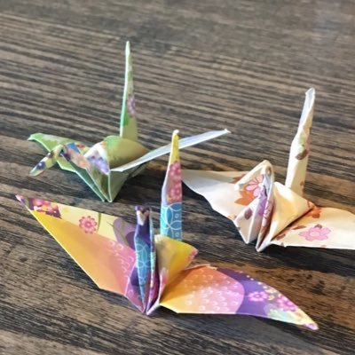 5L8T6oCE0YNOhcq's profile picture. 