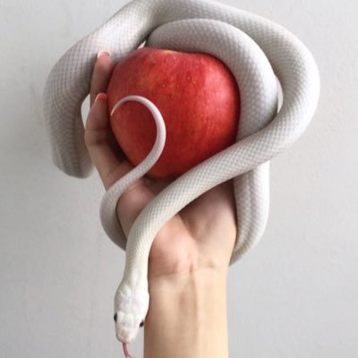 kwhrkum's profile picture. 