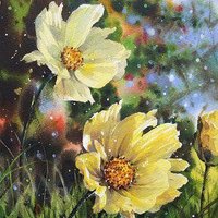 Hanadi Nadeem (@hanadinadeem) 's Twitter Profile