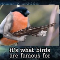 TheBigD (@tpavalec) 's Twitter Profile
