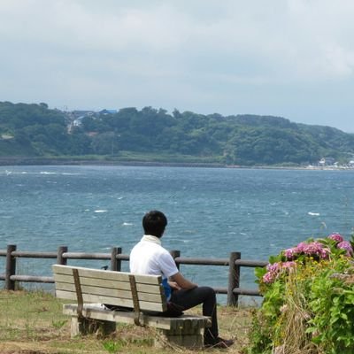 冬野さんのプロフィール画像