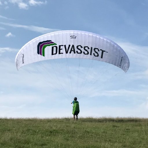 Dev_Assist Profile Picture