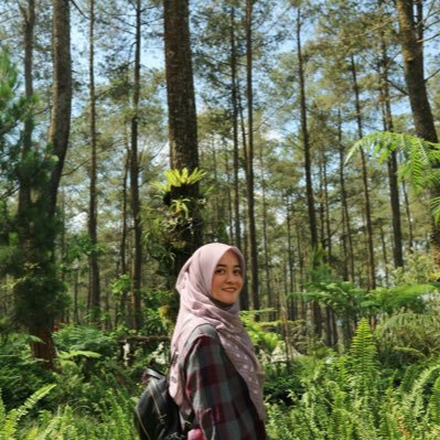 mirboe's profile picture. Dentistry UI 2012