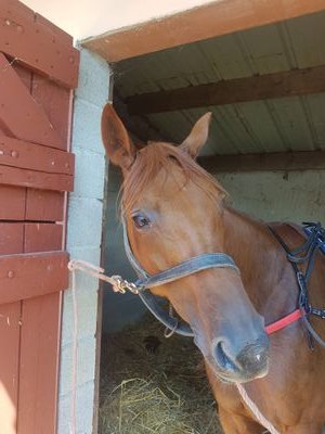 HNonantais's profile picture. 