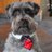 IHExecRecruiter's profile image