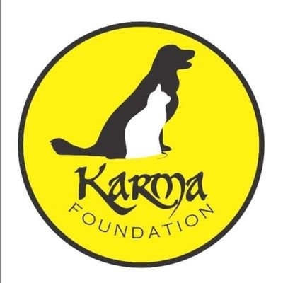Karma is a stray animal welfare NGO. we help stray animals free of cost with treatment, rescues, birth control surgeries and surgeries.