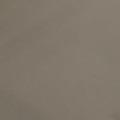 schelling's profile picture. 