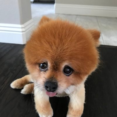 DavidAllenSD's profile picture. Reside in San Diego, CA and from Kansas City, MO. Singer/Songwriter in christian music.