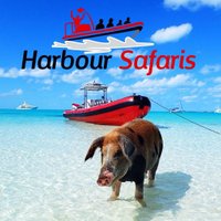 Harbour Safaris (@harboursafaris) Twitter profile photo