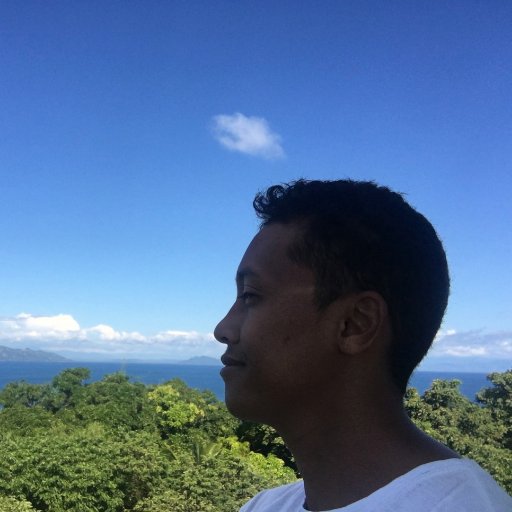 tsilavina's profile picture. Software Eng.