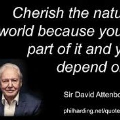 bevebecat12's profile picture. I was born in Germany on December 19th 1970 where I lived until i was about three. I am looking for a job in the care sector I hate prejudice!  I love to cook