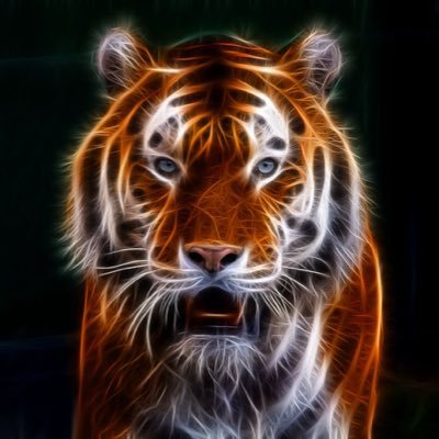 This is the official Twitter account of the Herrin Jr High School Technology Club in Herrin, IL. Technology Tech News Tech Professionals & Reporters
