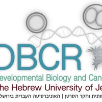 developmental biology and cancer research(@dbcr_huji) 's Twitter Profile Photo